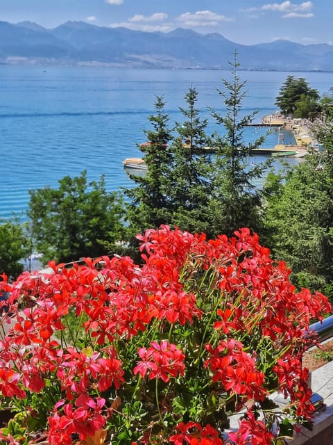 Nate Apartments Apartment in Municipality of Ohrid, North Macedonia