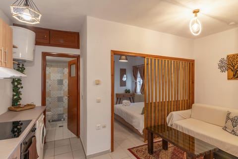 Bed, Bathroom, Kitchen or kitchenette, Living room