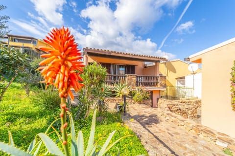 Patio, Garden, Garden view
