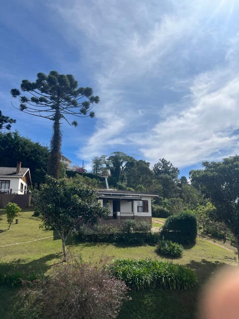Natural landscape, Garden view