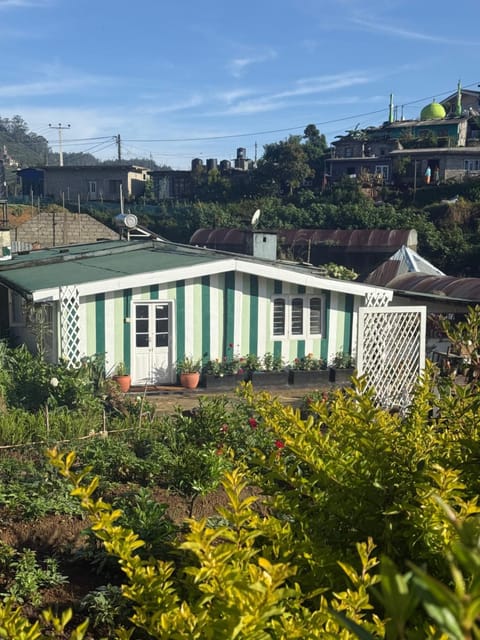 Property building, Day, Garden