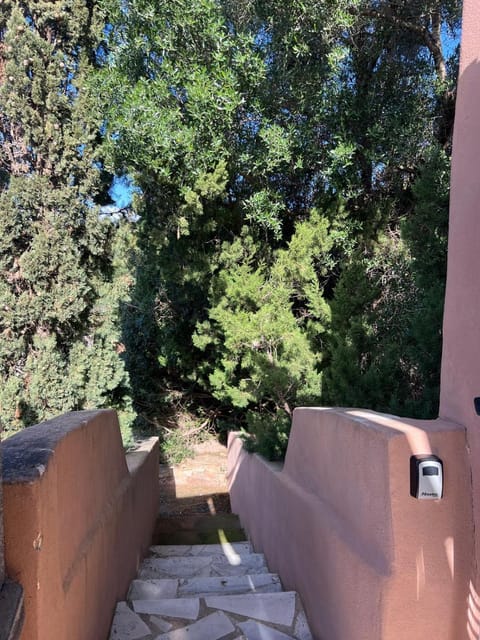Day, Garden, Garden view