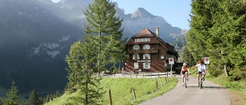 Natural landscape, Mountain view