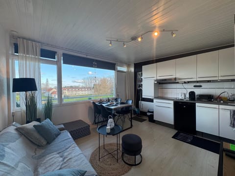 Kitchen or kitchenette, Living room, Seating area, Dining area, oven, pet friendly, stove