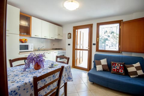 Living room, kitchen