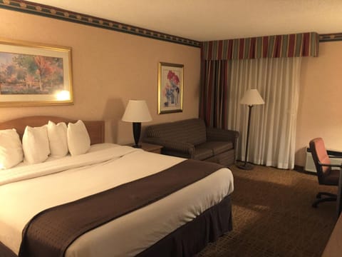 Photo of the whole room, Bedroom, Pets