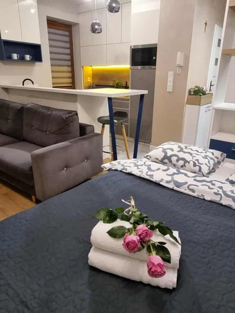 Bed, TV and multimedia, Kitchen or kitchenette, Living room, Seating area, Bedroom, towels