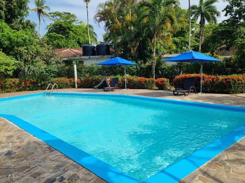 Day, Natural landscape, Swimming pool, sunbed