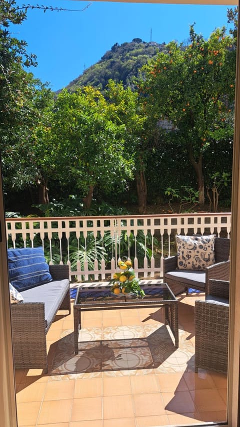 Bird's eye view, View (from property/room), View (from property/room), Garden view