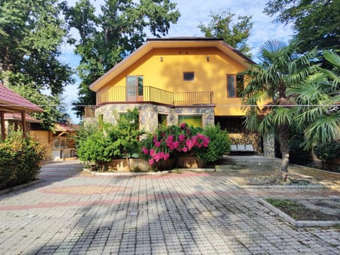 Property building, Garden, Garden view