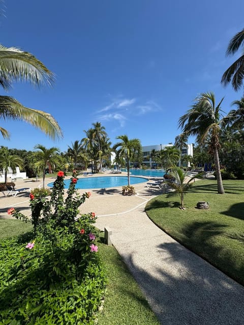 Garden, Swimming pool