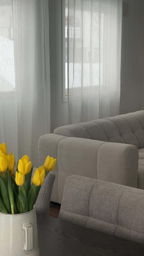 Calm, big, modern house in a quiet neighbourhood Apartment in Nordland, Norway