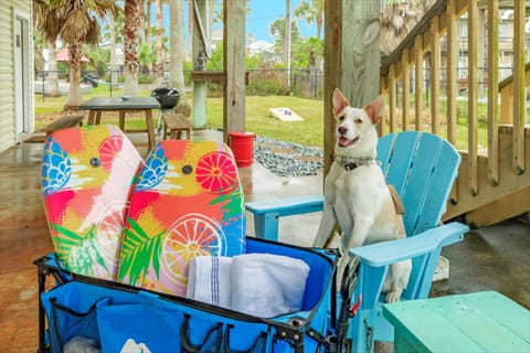 Mermaid Manor - Your Siren-Song Escape in Sea Isle House in Sea Isle