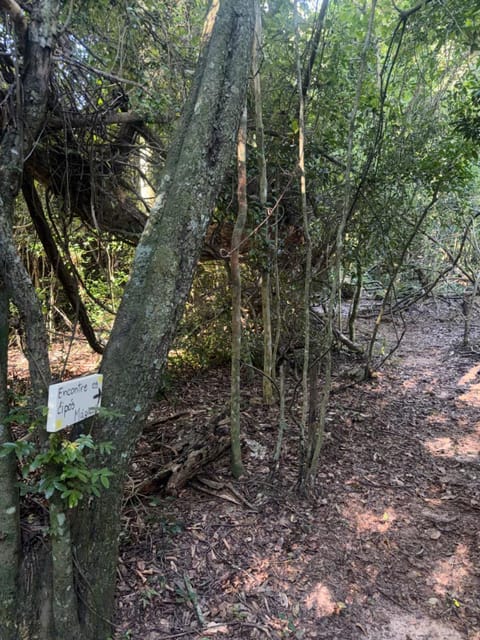 Natural landscape