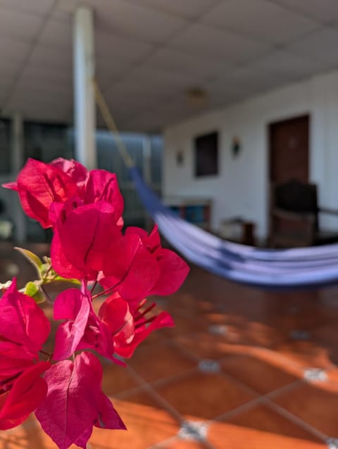 Balcony/Terrace, Seating area, Area and facilities