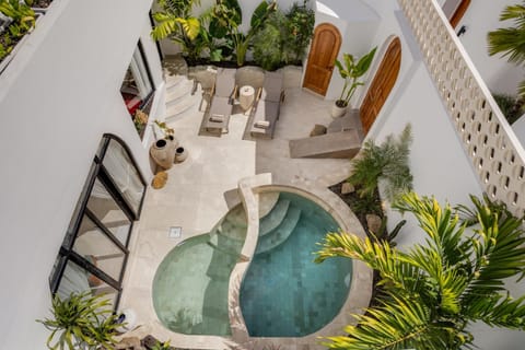 Garden, View (from property/room), Garden view, Pool view, Swimming pool, sunbed