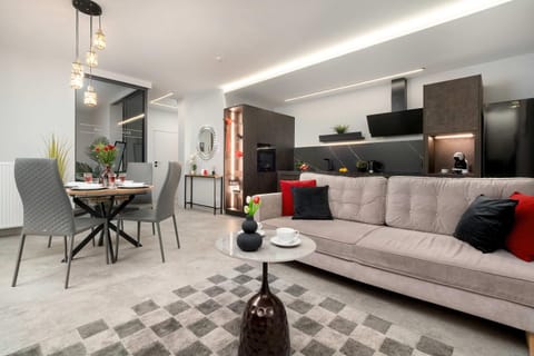 Kitchen or kitchenette, Living room, Seating area, Dining area, oven