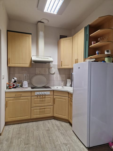 Apartment TINA Apartment in Friuli-Venezia Giulia