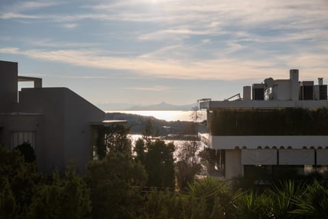 Τerpsichoris Sea View Apartment Apartment in Vouliagmeni