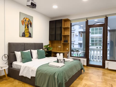 Bed, Kitchen or kitchenette, Living room, Photo of the whole room, Seating area, Bedroom, towels