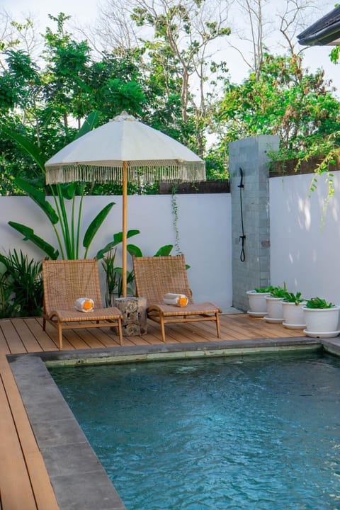 Natural landscape, Garden view, Inner courtyard view