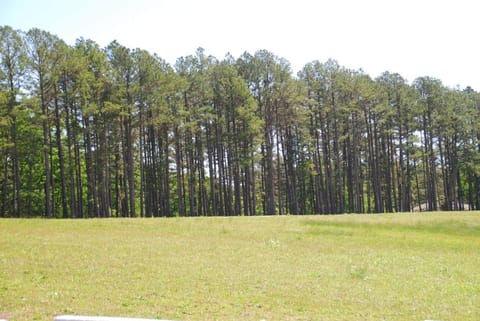 Fire Pit Cabin Retreat - Sleeps 6 - 1hr from STL Cabin in Ozark Mountains