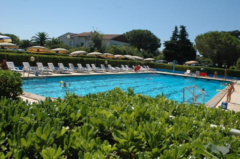 Pool view, Swimming pool, sunbed