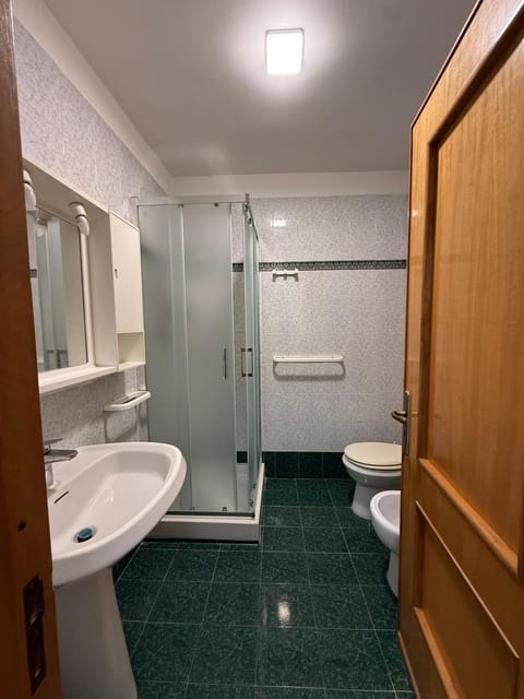 Shower, Toilet, Bathroom, bidet