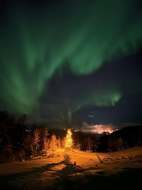 Night, Natural landscape