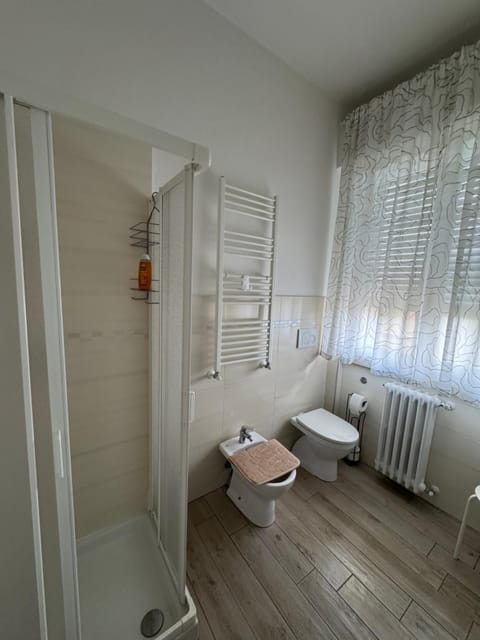 Shower, Toilet, Bathroom, bidet