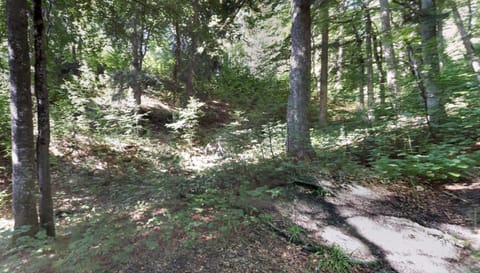 Ein Stück Land für dein Zelt Campground/ 
RV Resort in Ruhpolding