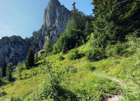 Ein Stück Land für dein Zelt Campground/ 
RV Resort in Ruhpolding