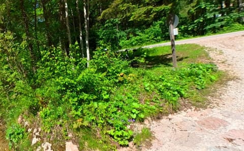 Ein Stück Land für dein Zelt Campground/ 
RV Resort in Ruhpolding