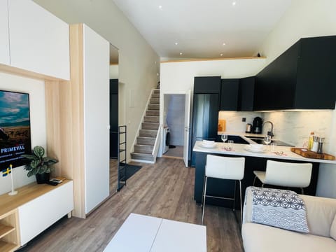 Bed, TV and multimedia, Kitchen or kitchenette, Living room, Photo of the whole room, Seating area, Dining area, Bedroom, minibar, oven, pet friendly, stove, toaster