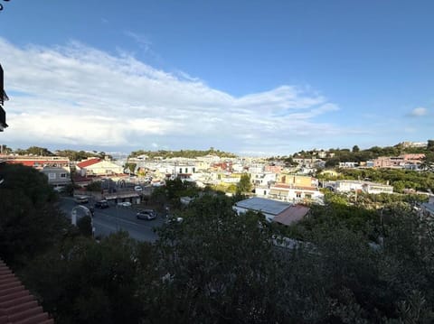 Casa Gina By Dimorra Apartment in Ischia