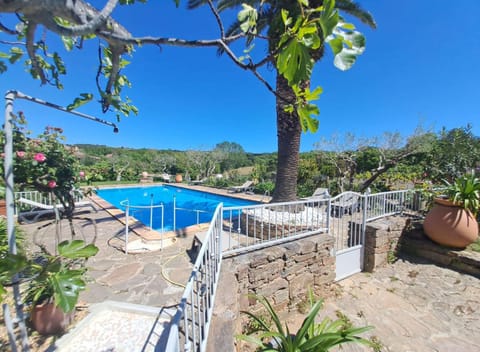 Swimming pool, sunbed