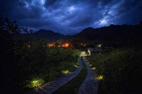 Garden, Garden view