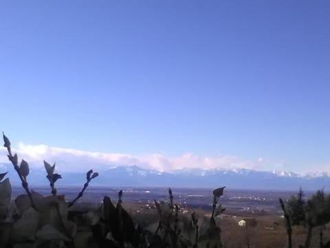 Blueberry Rooms Bed and Breakfast in La Morra