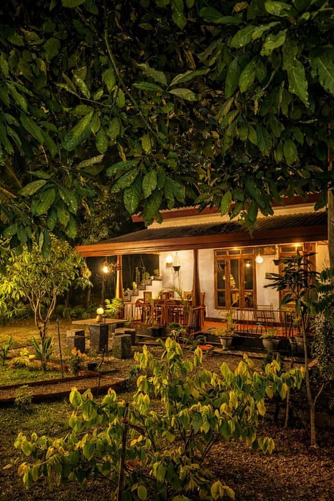 Property building, Patio, Spring, Night, Garden, Garden view
