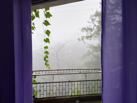 View (from property/room), Balcony/Terrace