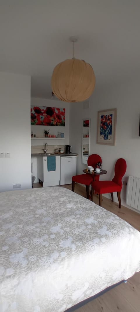 The Snug Apartment in Wicklow, Co. Wicklow, Ireland