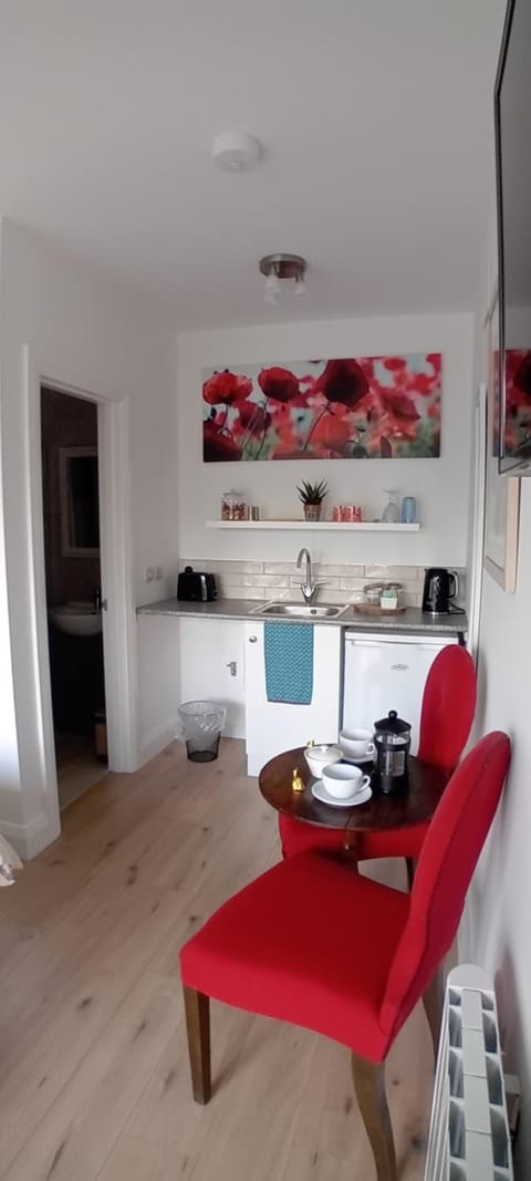 The Snug Apartment in Wicklow, Co. Wicklow, Ireland