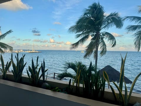 Balcony/Terrace, Beach, air conditioner
