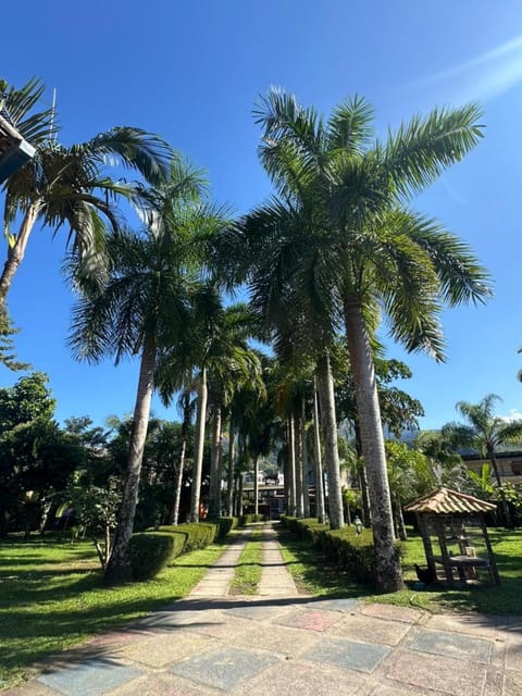 Day, Garden, Garden view