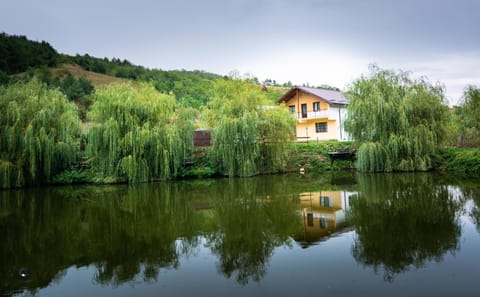 Property building, Activities, Fishing, Location