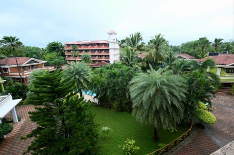 Garden, Garden, Garden view