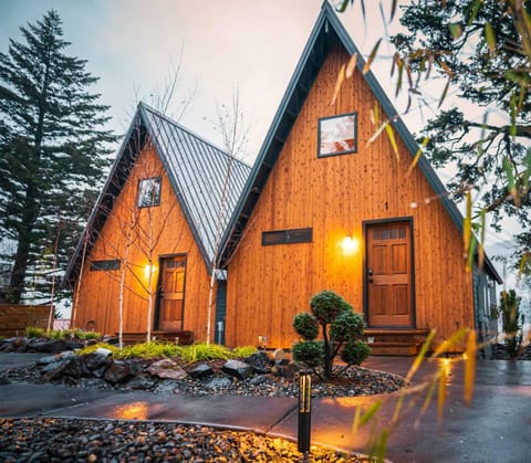 The Return to Stone - A-Frame Cabin w Soaking Tub Cabin in Stevenson