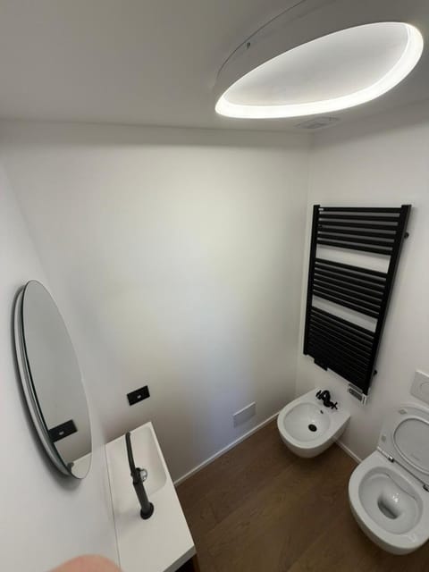 Toilet, Bathroom, bidet