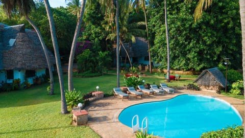 Garden, Garden view, Swimming pool, sunbed