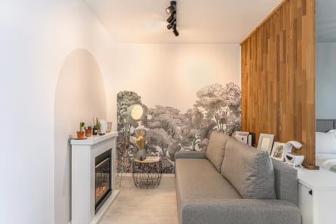 Living room, Photo of the whole room, Decorative detail, furniture, internet